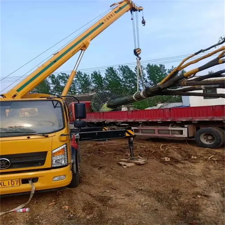 鄂城100吨吊车租赁费用怎么算？3大关键因素+省钱技巧全解析